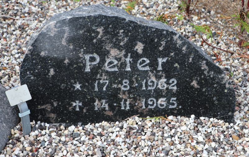 Peter    .JPG